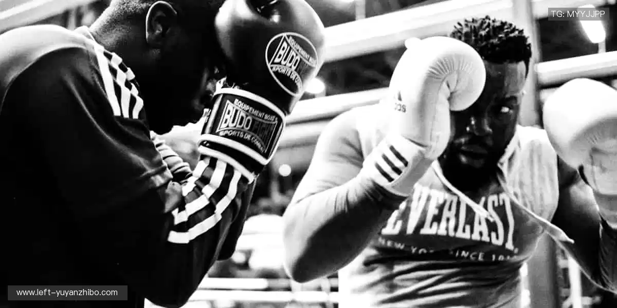 🎯匠心打造，运动装备与时尚完美碰撞！👟